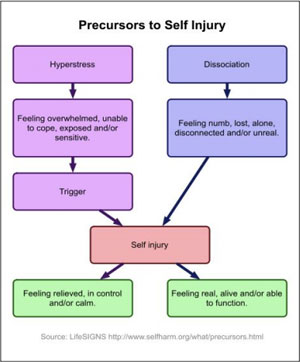 Self Harm Behaviors Worksheets