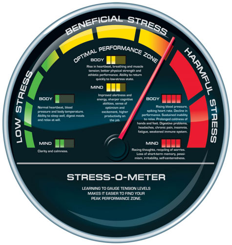 Consequences of Stress